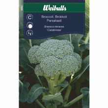 Brokkoli - Calabrese